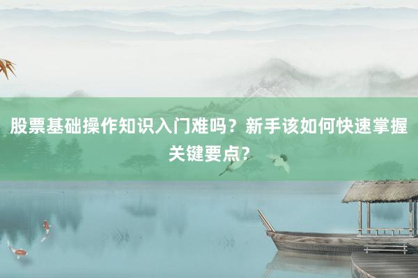 股票基础操作知识入门难吗？新手该如何快速掌握关键要点？