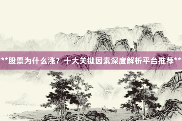 **股票为什么涨？十大关键因素深度解析平台推荐**