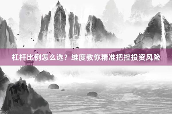 杠杆比例怎么选？维度教你精准把控投资风险