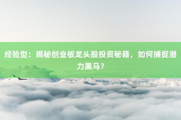 经验型：揭秘创业板龙头股投资秘籍，如何捕捉潜力黑马？